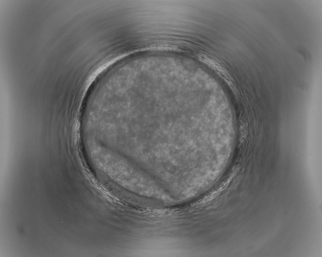 X0000112930928200909211111