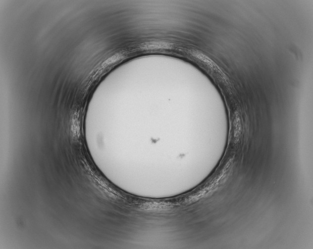 X0000112930929200909211111