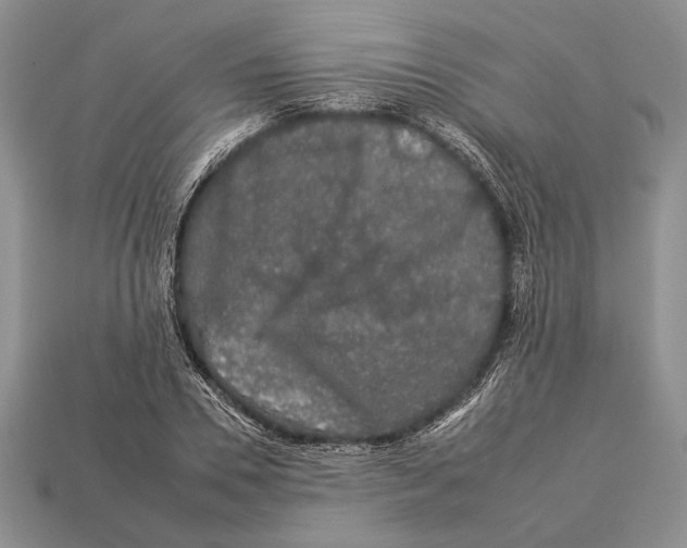 X0000112930930200909211111