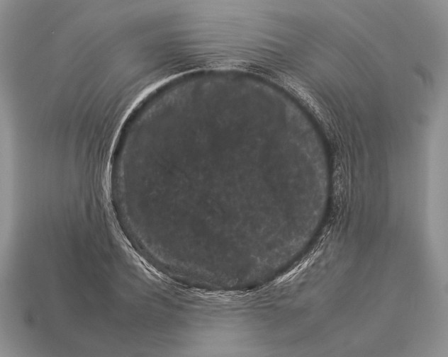 X0000112930932200909211111