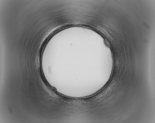 X0000112930934200909211111