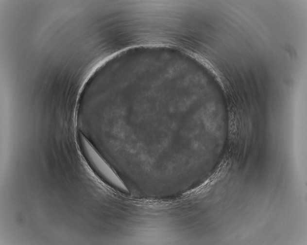 X0000112930935200909211111