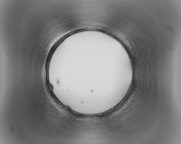 X0000112930936200909211111