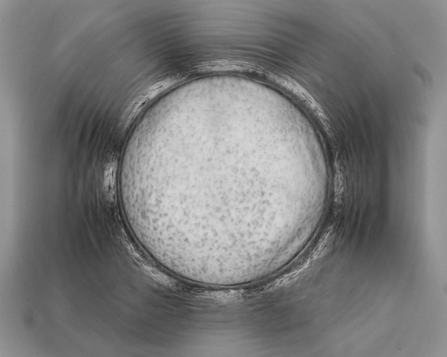 X0000112930937200909211111