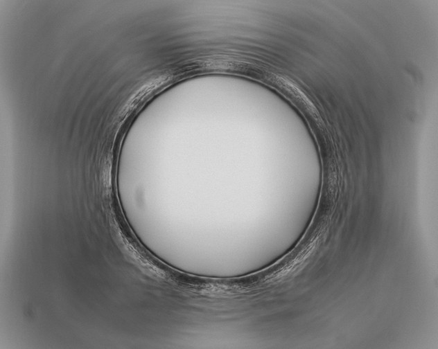 X0000112930938200909211111