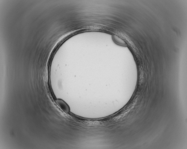 X0000112930940200909211111