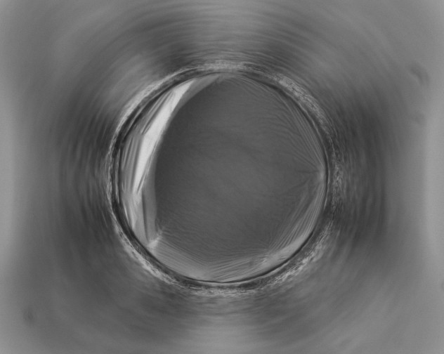 X0000112930941200909211111