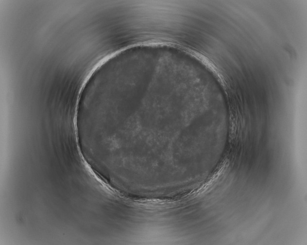 X0000112930943200909211111