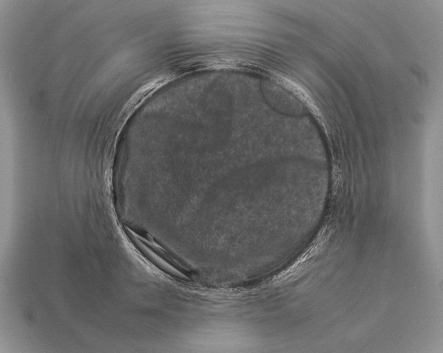 X0000112930946200909211111