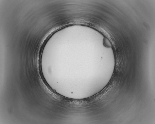 X0000112930947200909211111