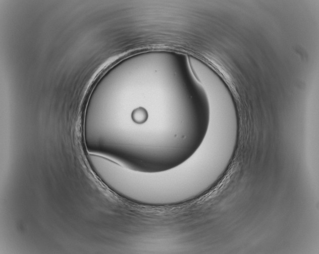 X0000112930948200909211111