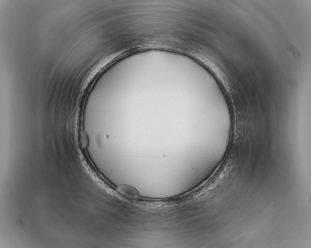 X0000112930949200909211111