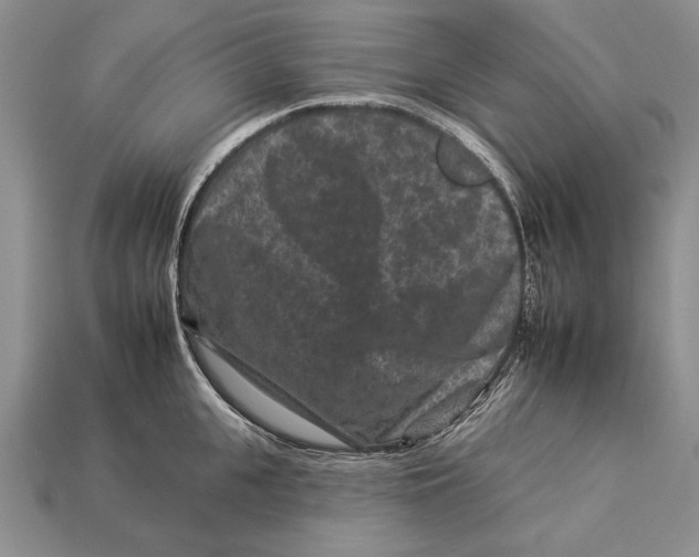 X0000112930951200909211111