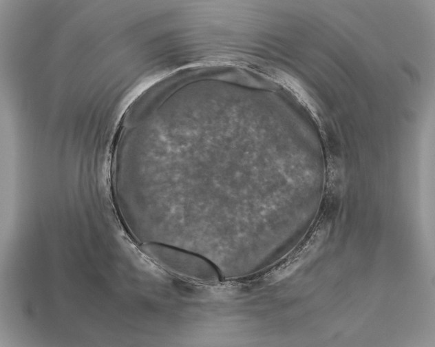 X0000112930952200909211111