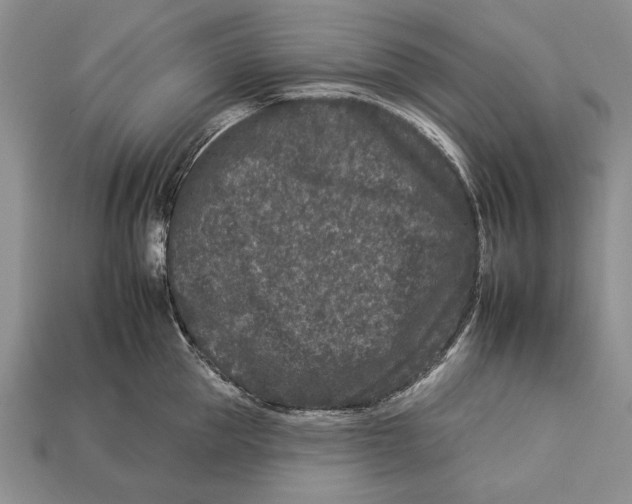 X0000112930953200909211111