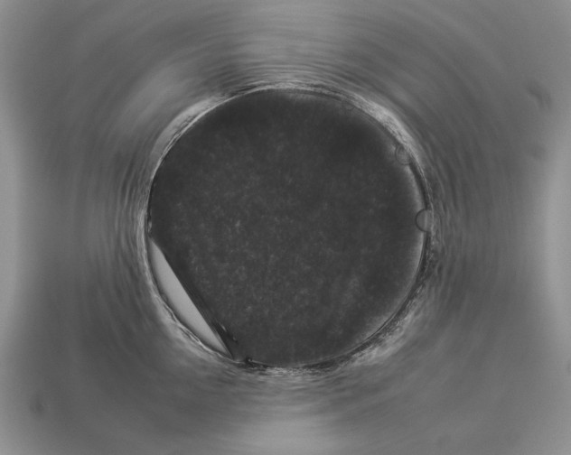 X0000112930954200909211111