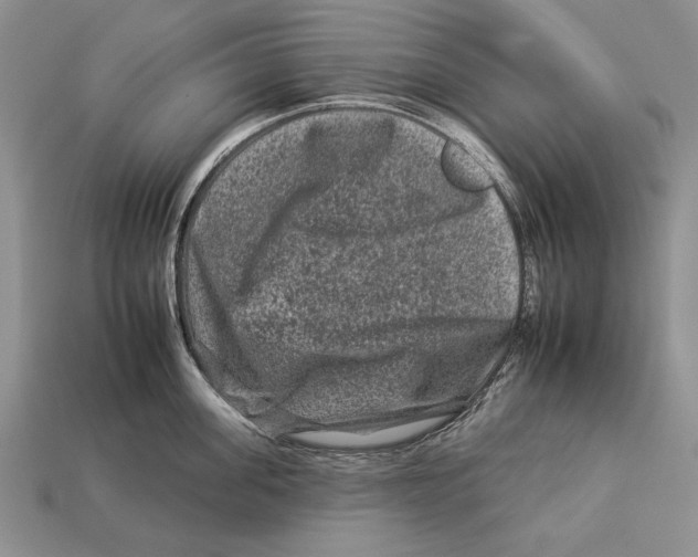 X0000112930955200909211111