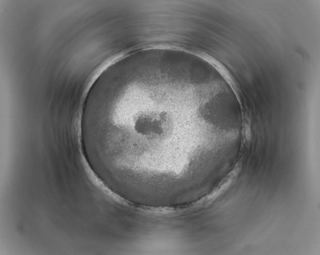 X0000112930957200909211111