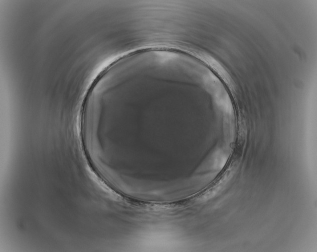 X0000112930958200909211111