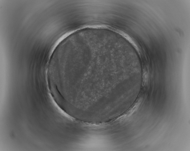 X0000112930959200909211111