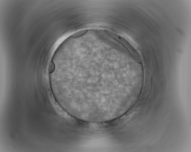 X0000112930960200909211111
