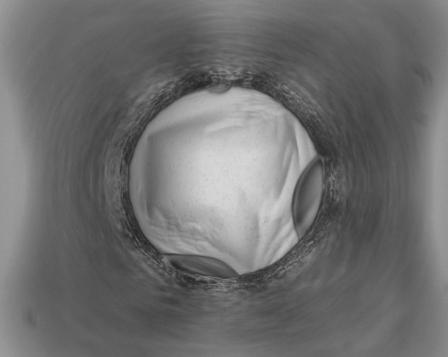X0000112930961200909211110