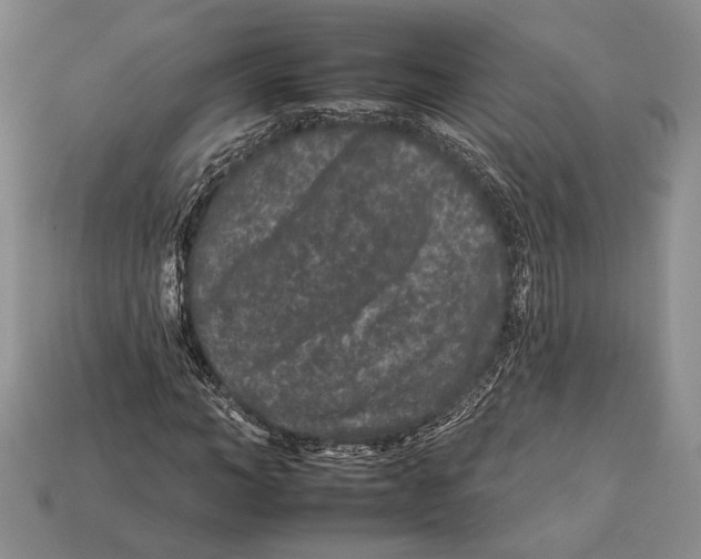 X0000112930966200909211110