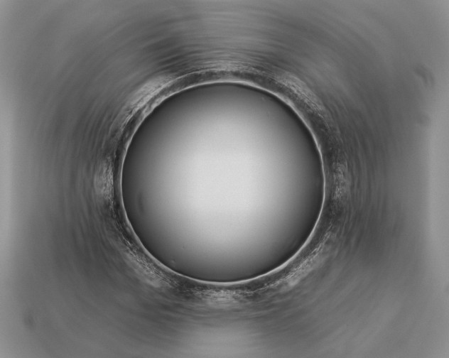 X0000112930969200909211110