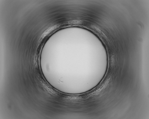 X0000112930970200909211110