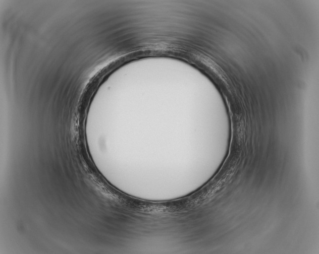 X0000112930971200909211110
