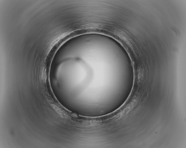 X0000112930973200909211110