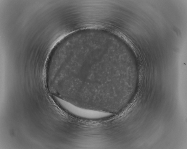 X0000112930975200909211110
