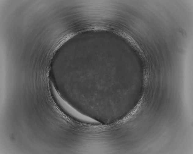 X0000112930977200909211110