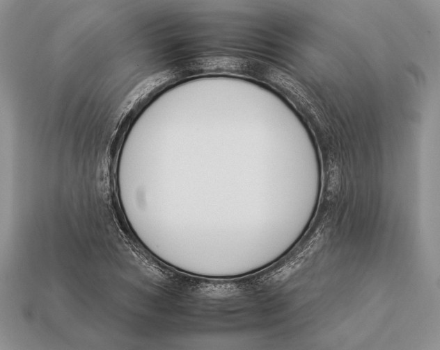 X0000112930978200909211110