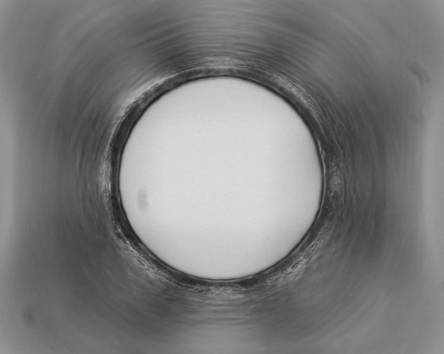 X0000112930979200909211110