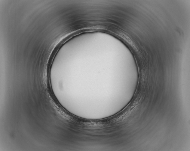 X0000112930980200909211110