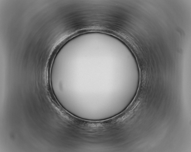 X0000112930982200909211110