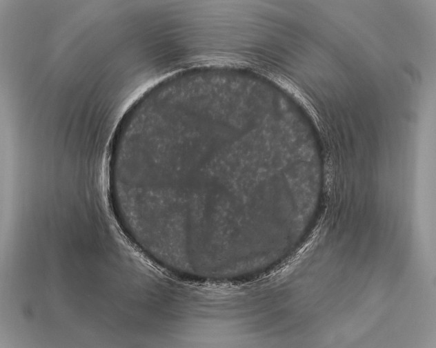 X0000112930983200909211110