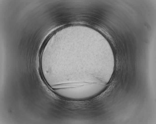 X0000112930984200909211110