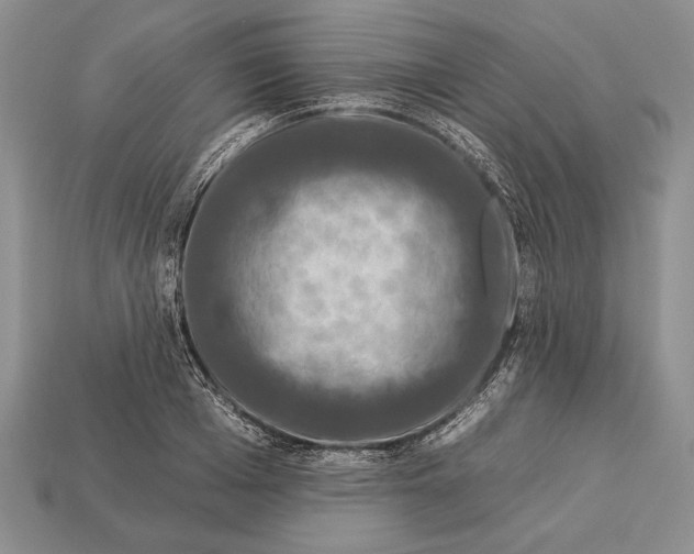 X0000112930985200909211110