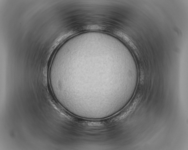 X0000112930986200909211110
