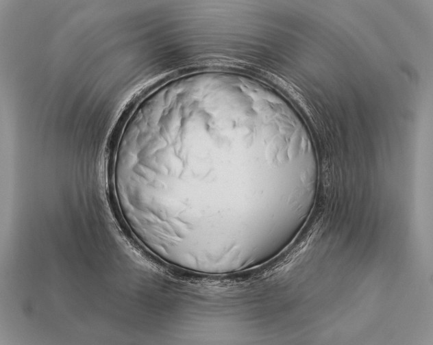 X0000112930987200909211110