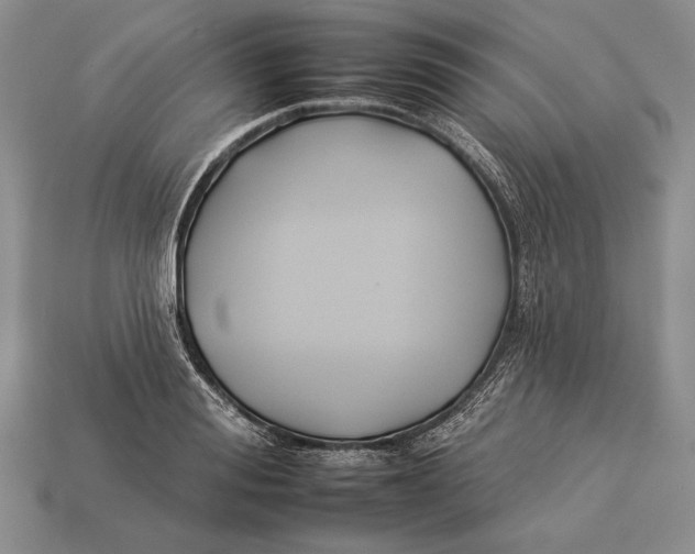 X0000112930988200909211110