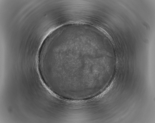 X0000112930989200909211110