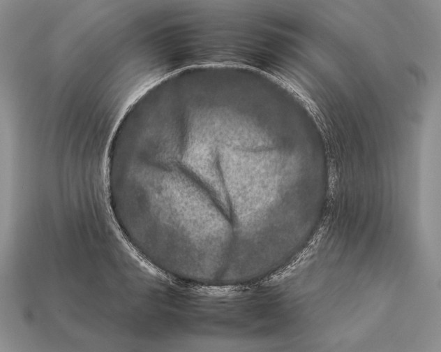 X0000112930990200909211110