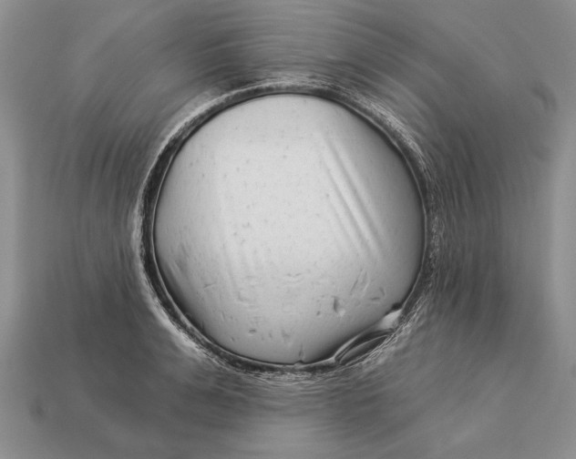 X0000112930991200909211110