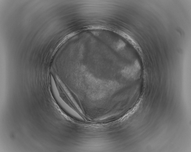 X0000112930993200909211110