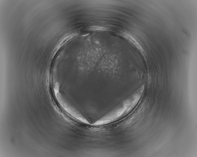 X0000112930994200909211110