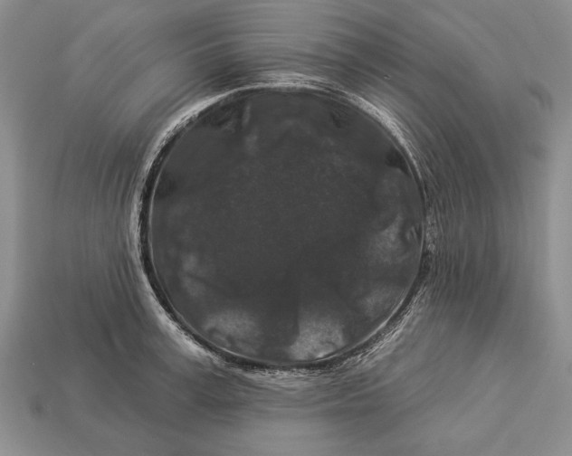 X0000112930995200909211110