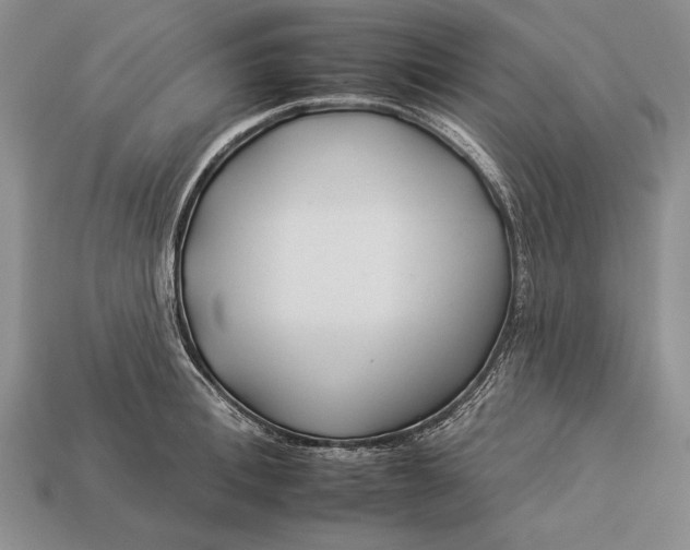 X0000112930996200909211110